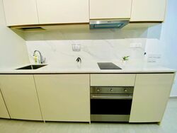 Kopar At Newton (D9), Apartment #507756241